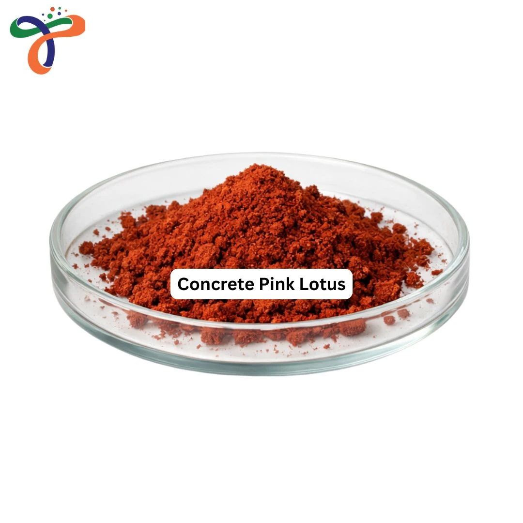 Concrete Pink Lotus