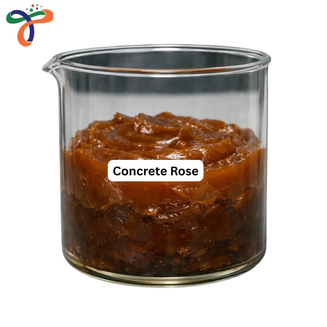 Concrete Rose