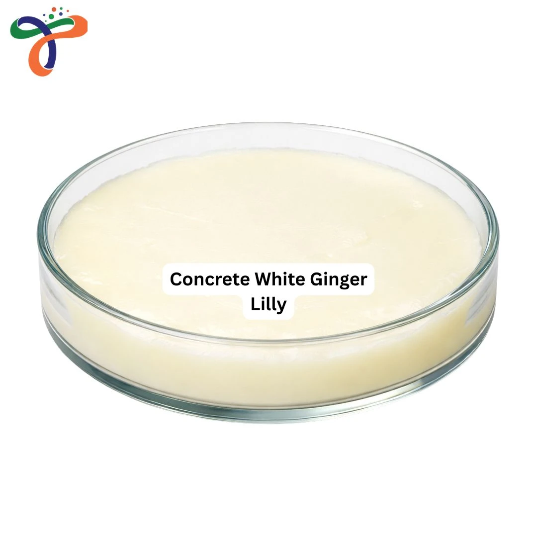 Concrete White Ginger Lilly