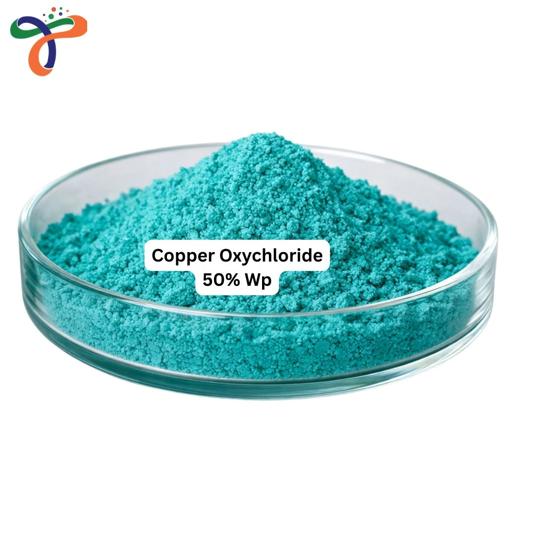 Copper Oxychloride 50% Wp