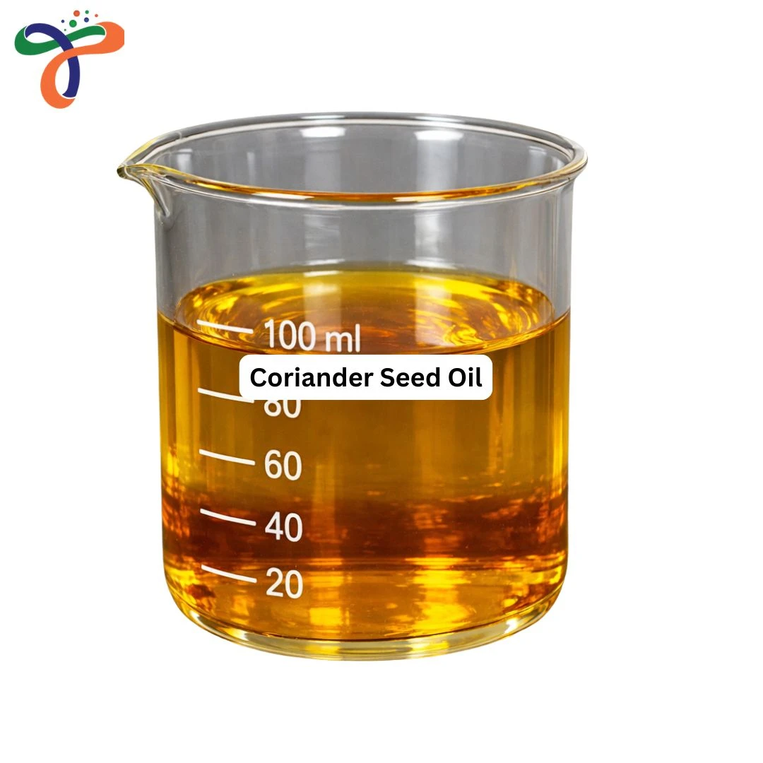 Coriander Oil