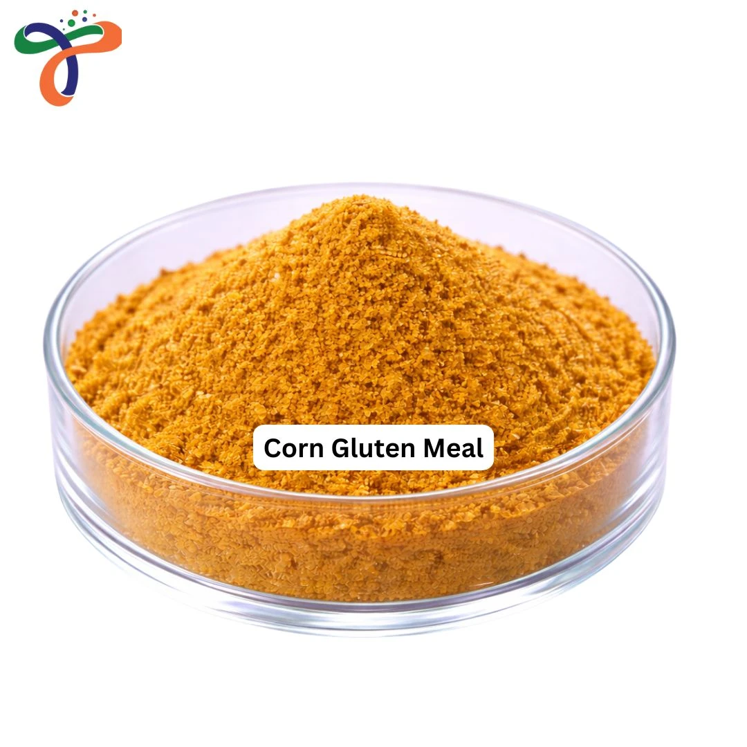 Corn Gluten Meal