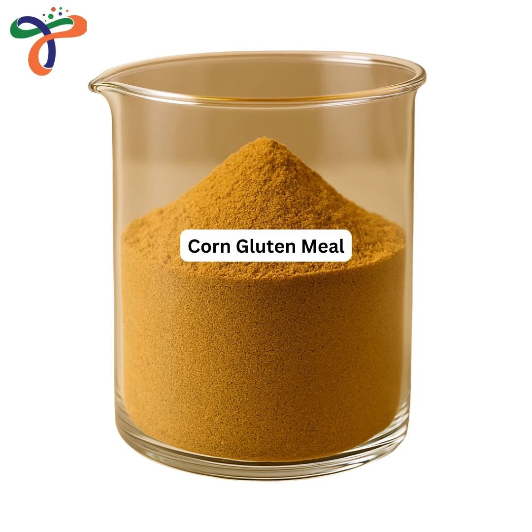 Corn Gluten Meal