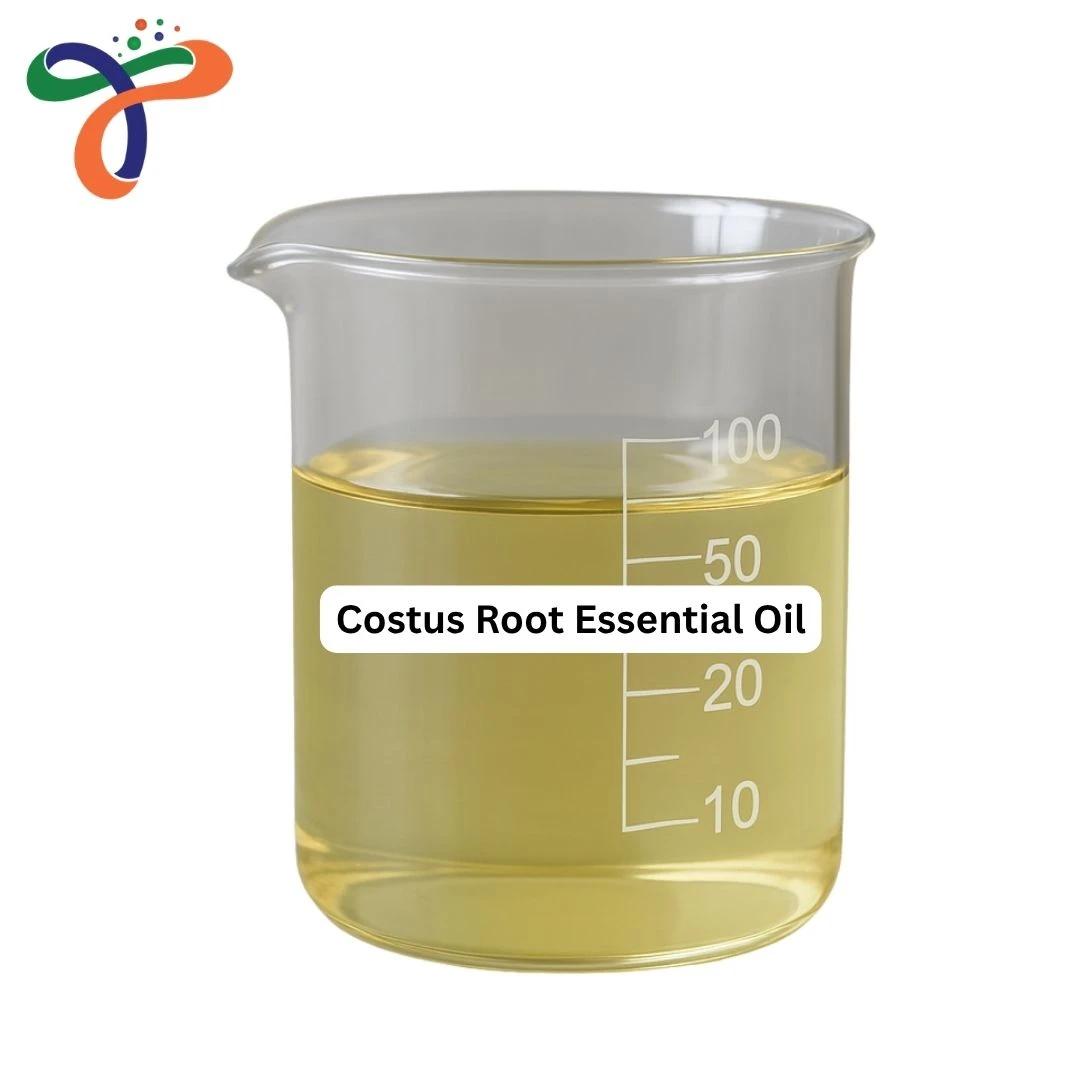 Costus Root Essential Oil