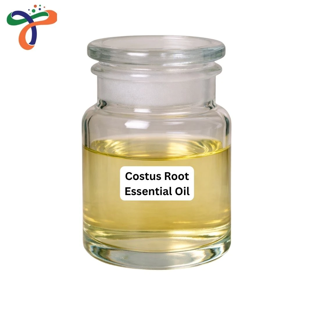 Costus Root Essential Oil