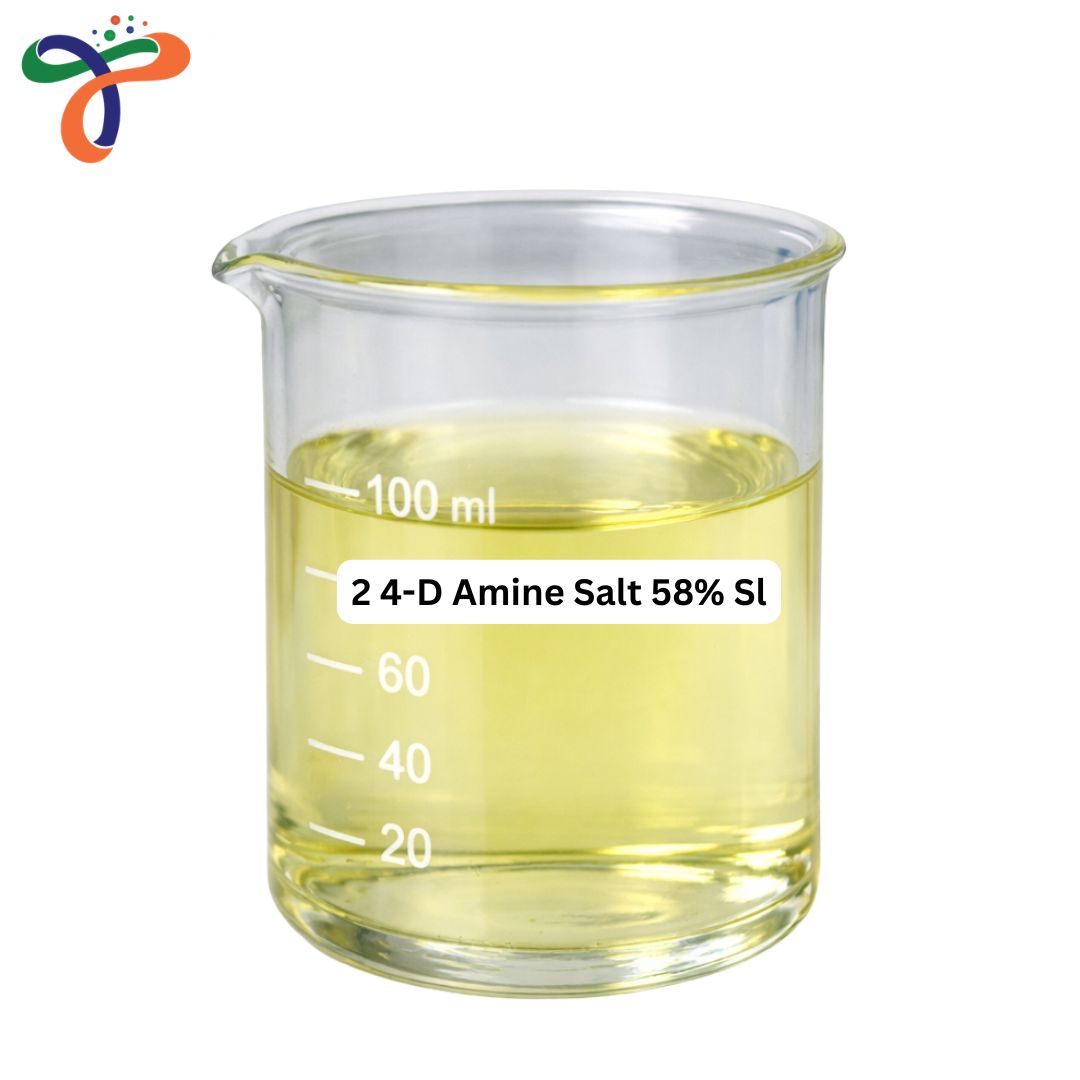 2 4-D Amine Salt 58% Sl