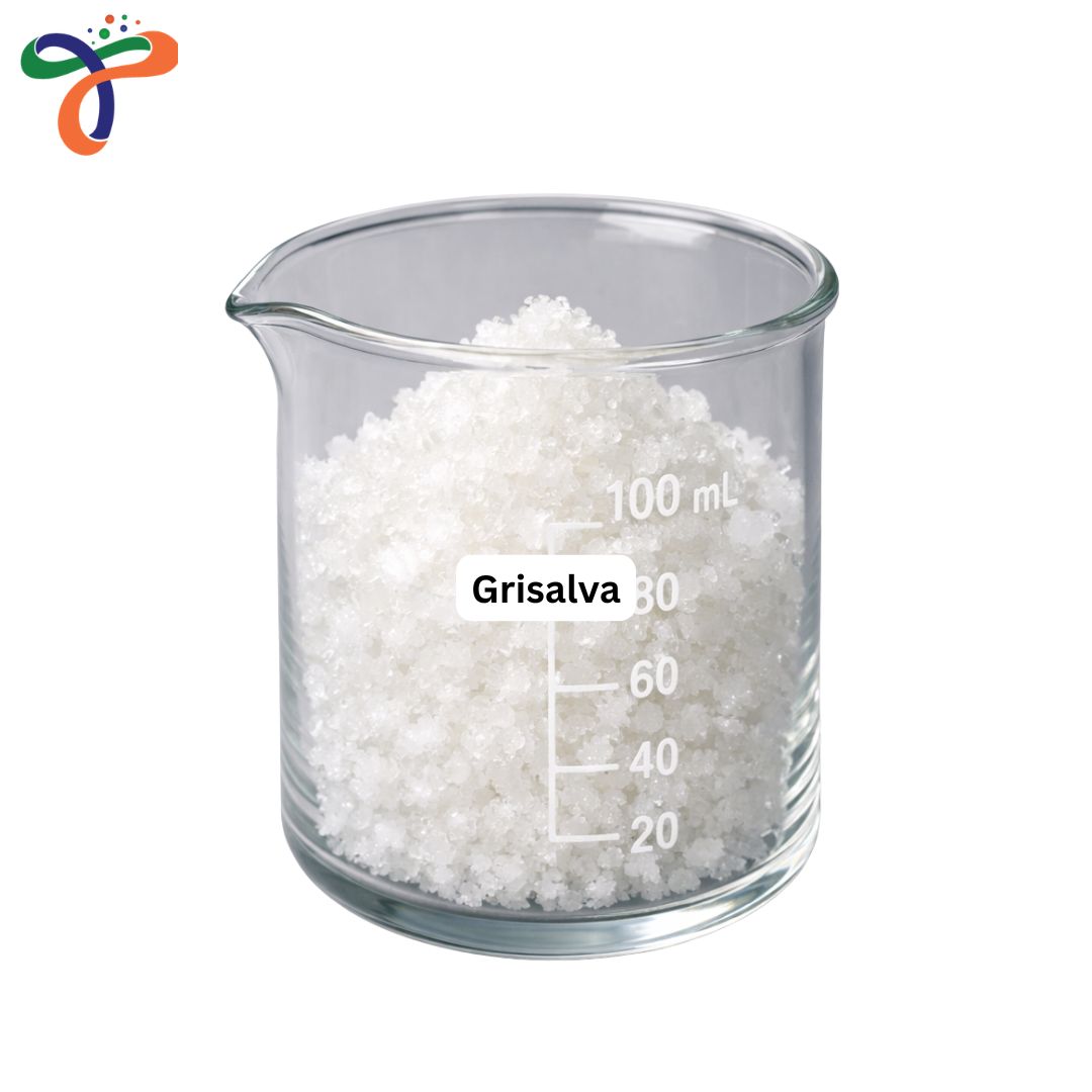 Grisalva
