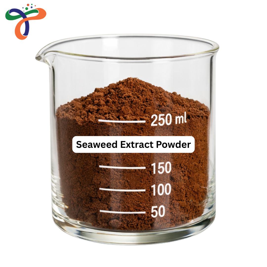 Seaweed Extract Powder
