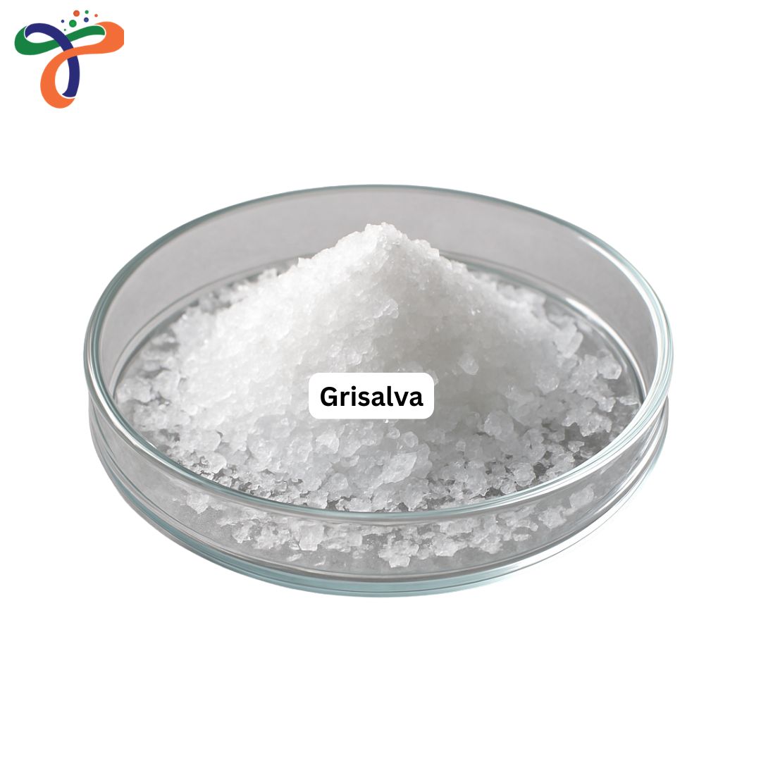 Grisalva