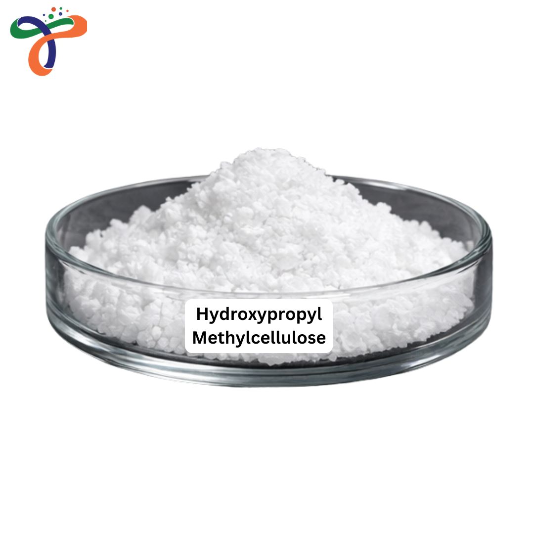 Hydroxypropyl Methylcellulose
