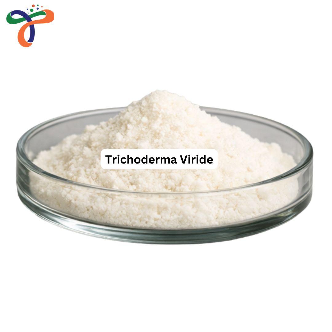 Trichoderma Viride