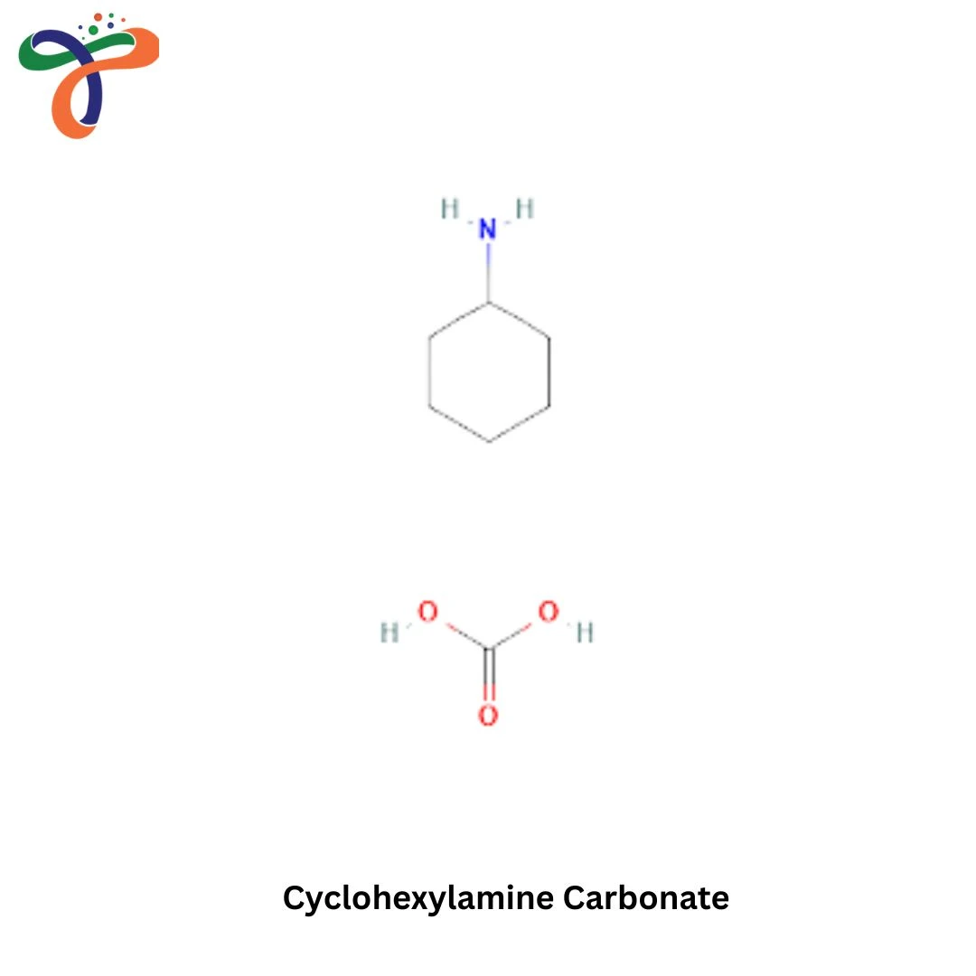 Cyclohexylamine Carbonate