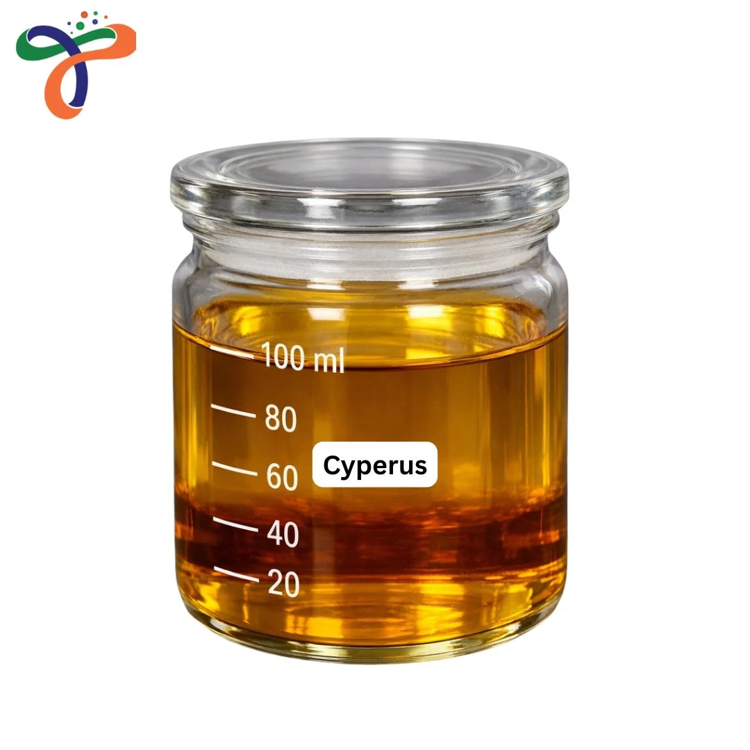 Cyperus