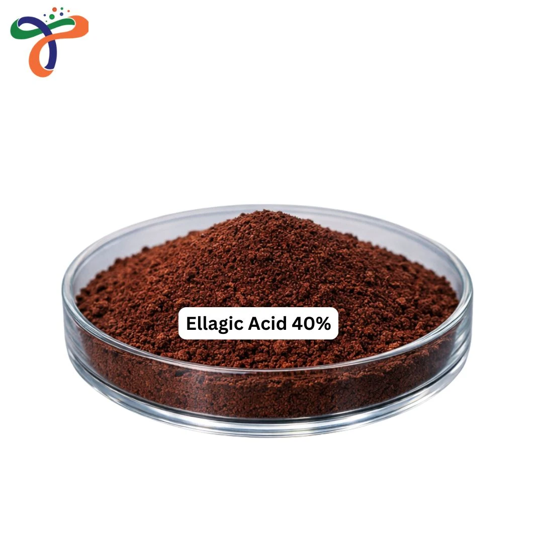 Ellagic Acid 40%