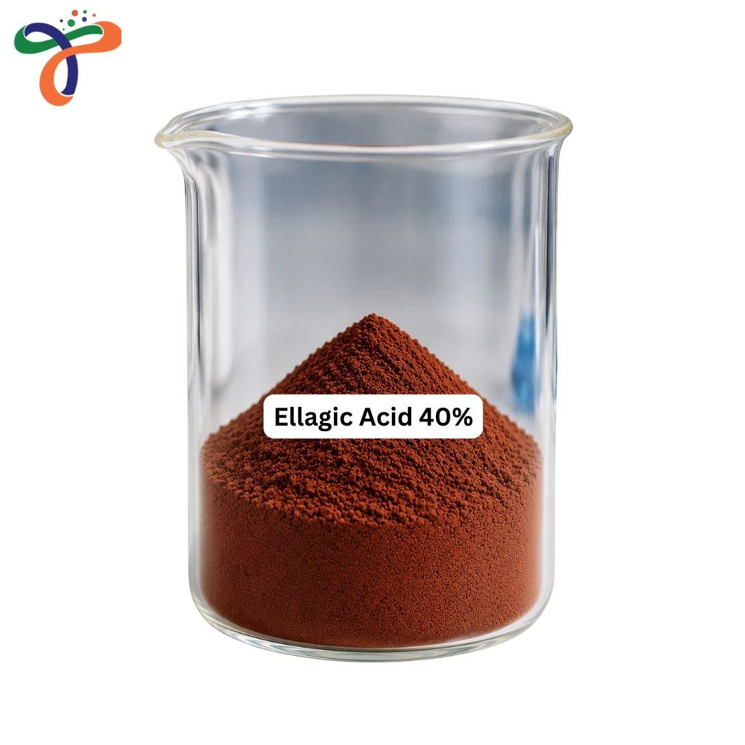 Ellagic Acid 40%