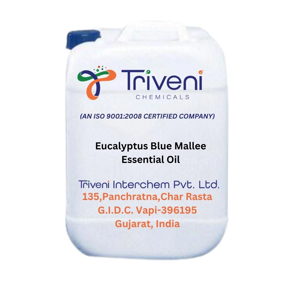 Eucalyptus Blue Mallee Essential Oil