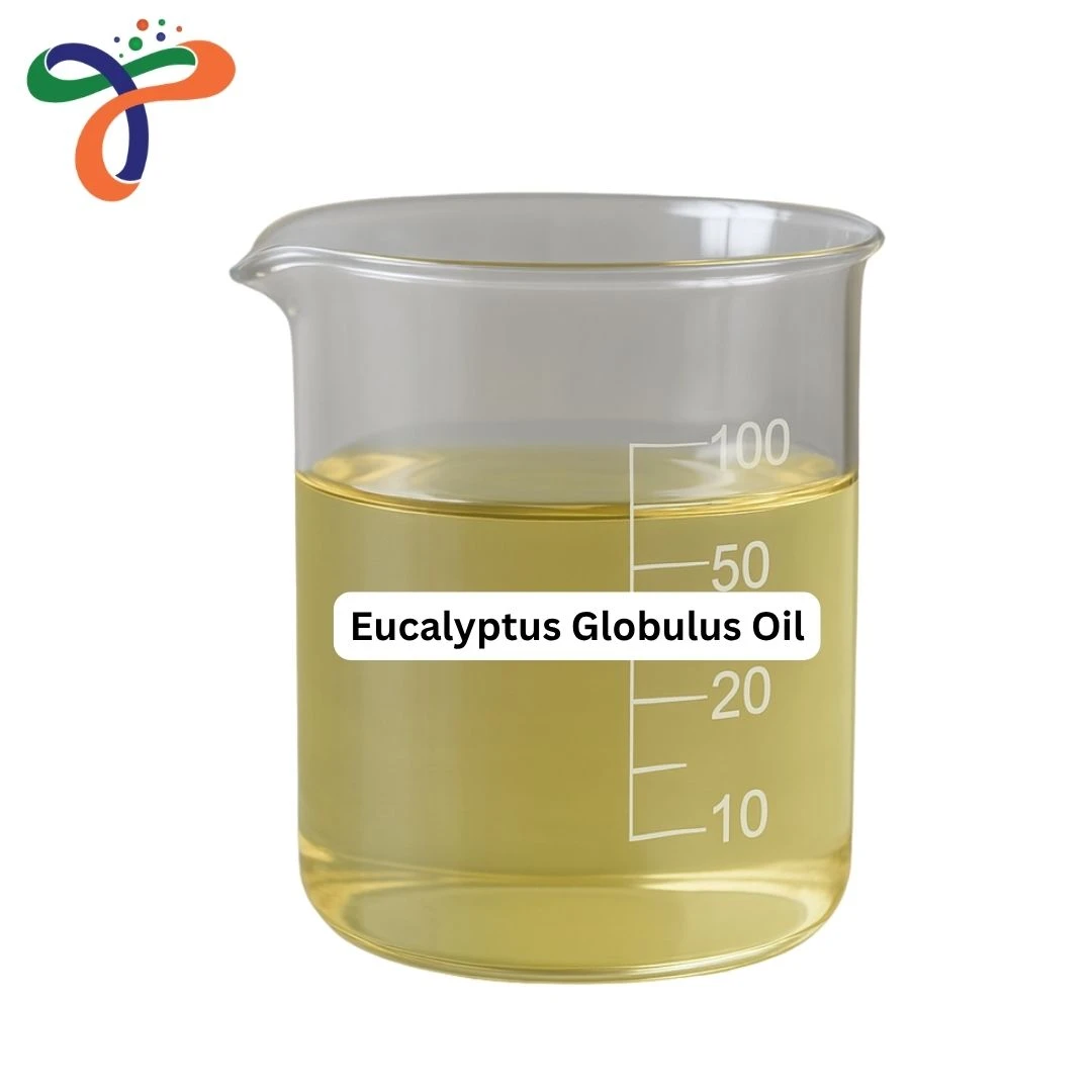 Eucalyptus Globulus Oil
