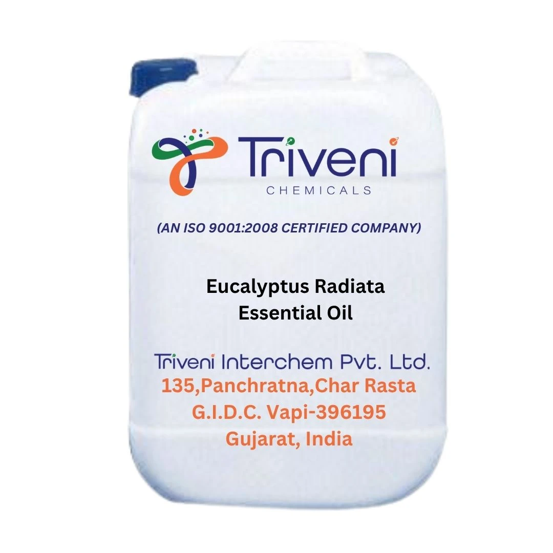 Eucalyptus Radiata Essential Oil