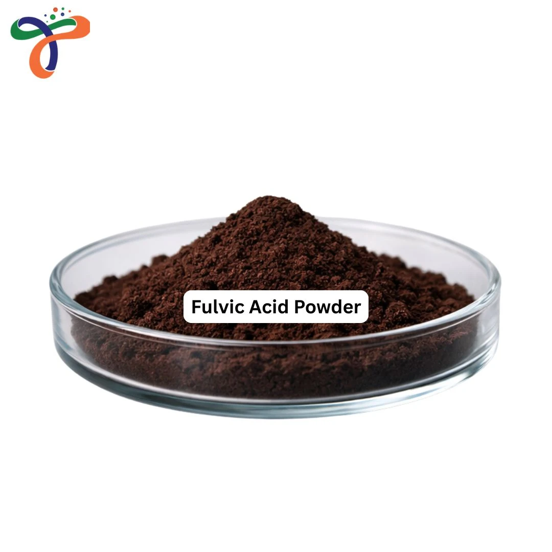 Fulvic Acid Powder