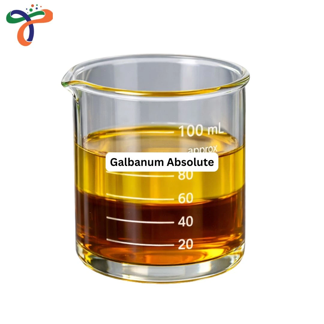 Galbanum Absolute