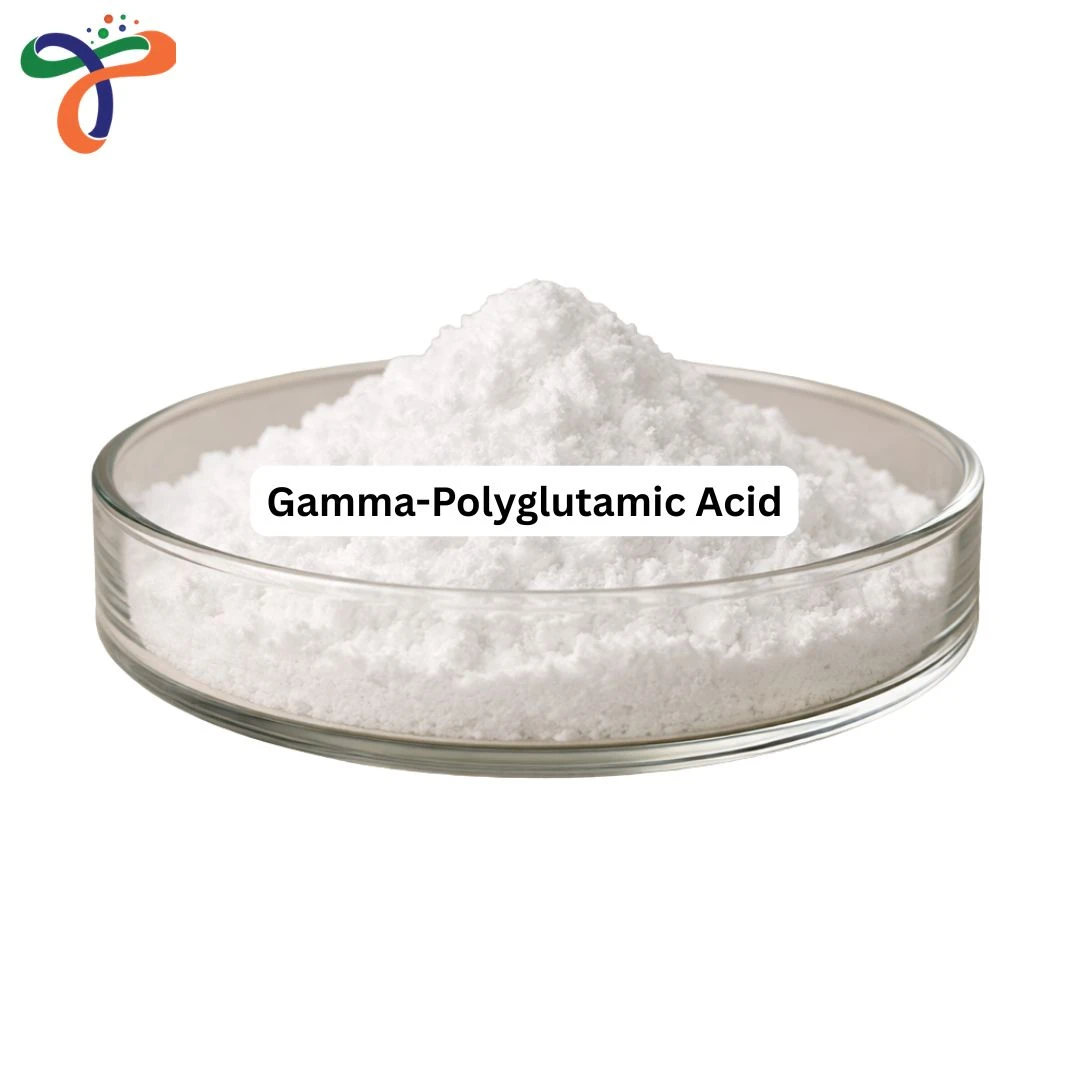 Gamma-polyglutamic Acid