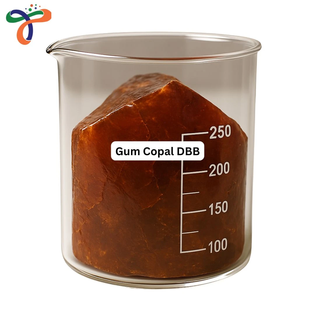 Gum Copal Dbb