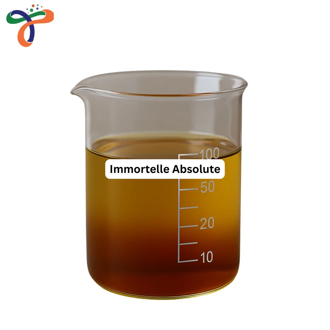 Immortelle Absolute