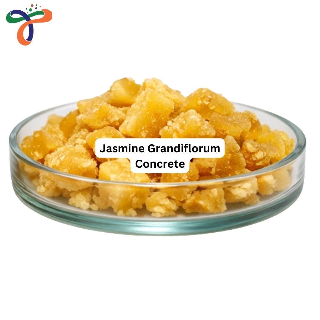 Jasmine Grandiflorum Concrete
