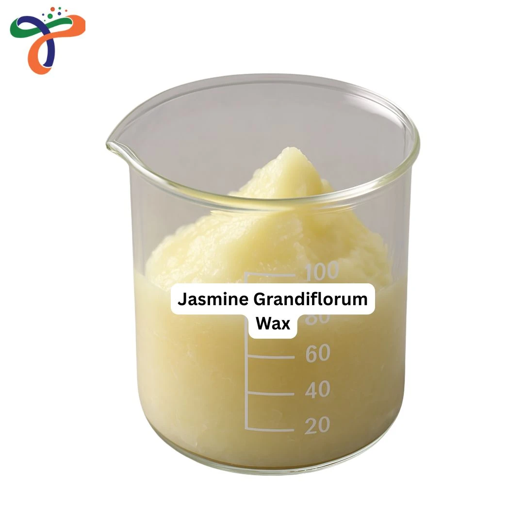 Jasmine Grandiflorum Wax