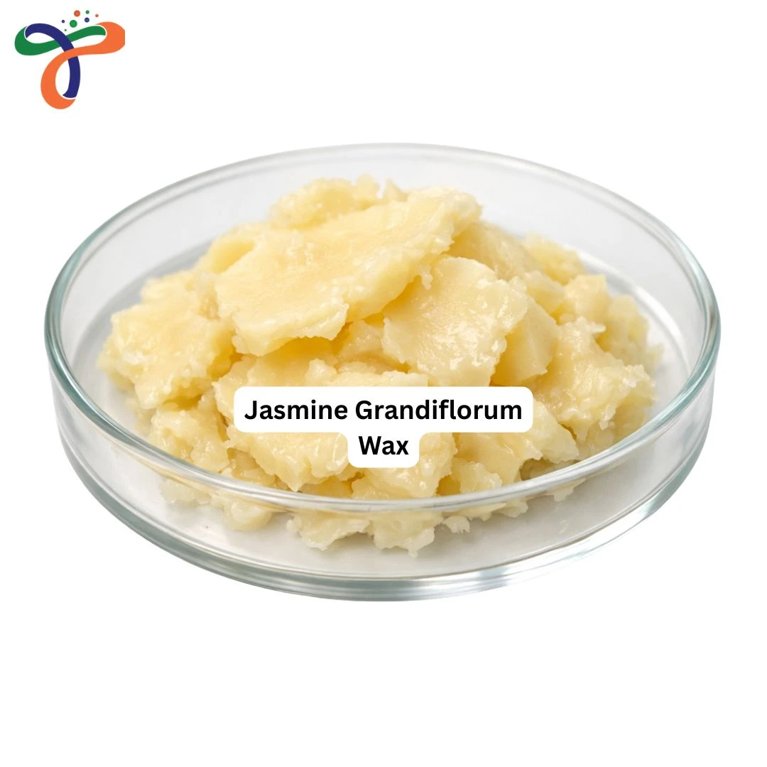 Jasmine Grandiflorum Wax