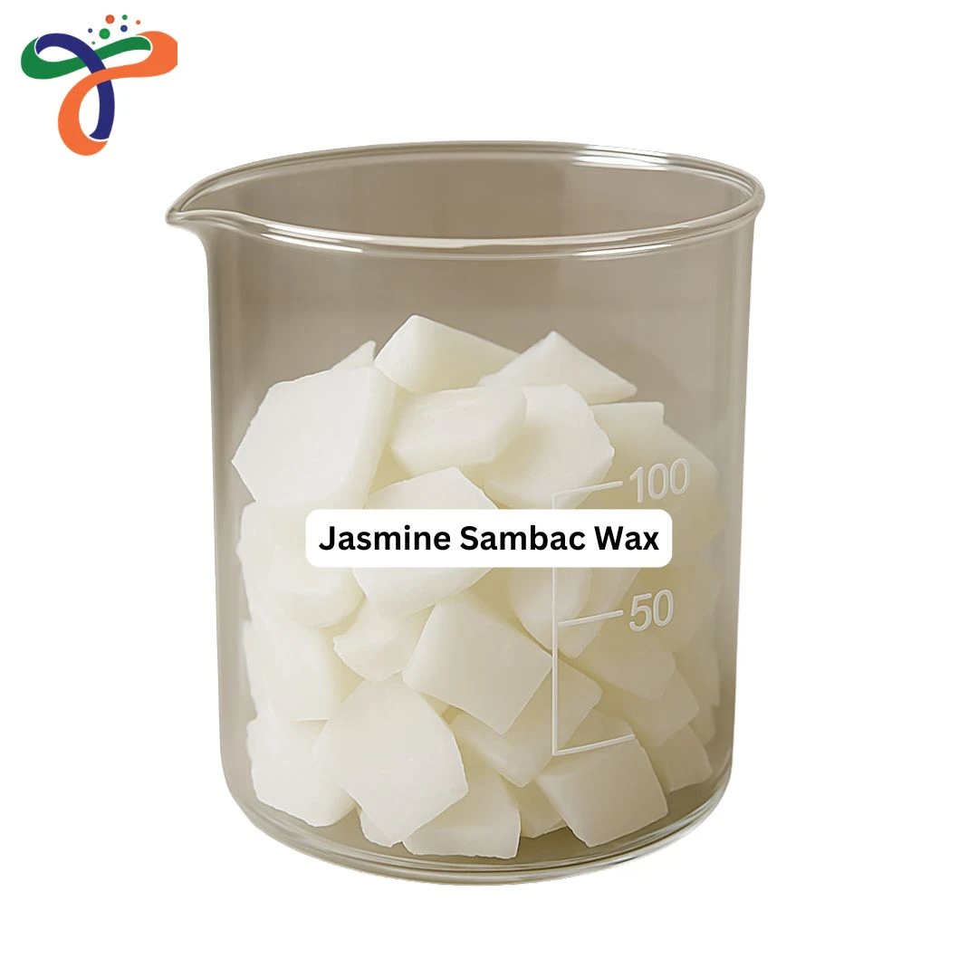 Jasmine Sambac Wax