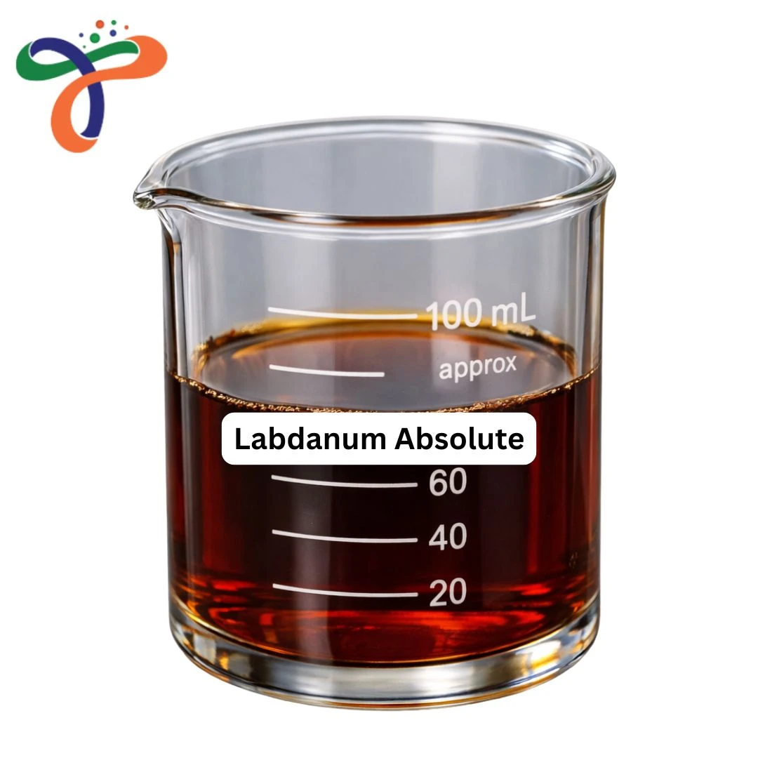 Labdanum Absolute
