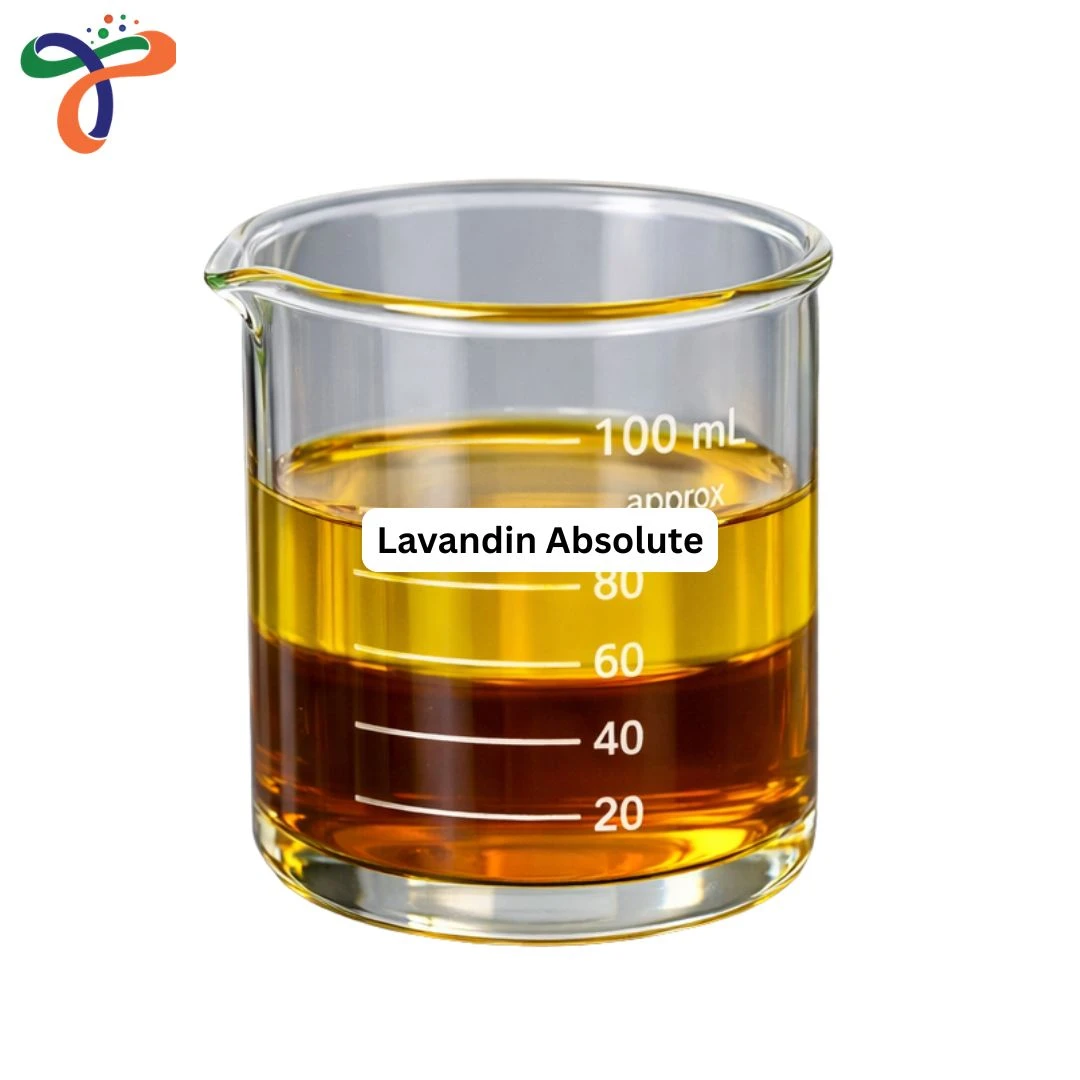 Lavandin Absolute