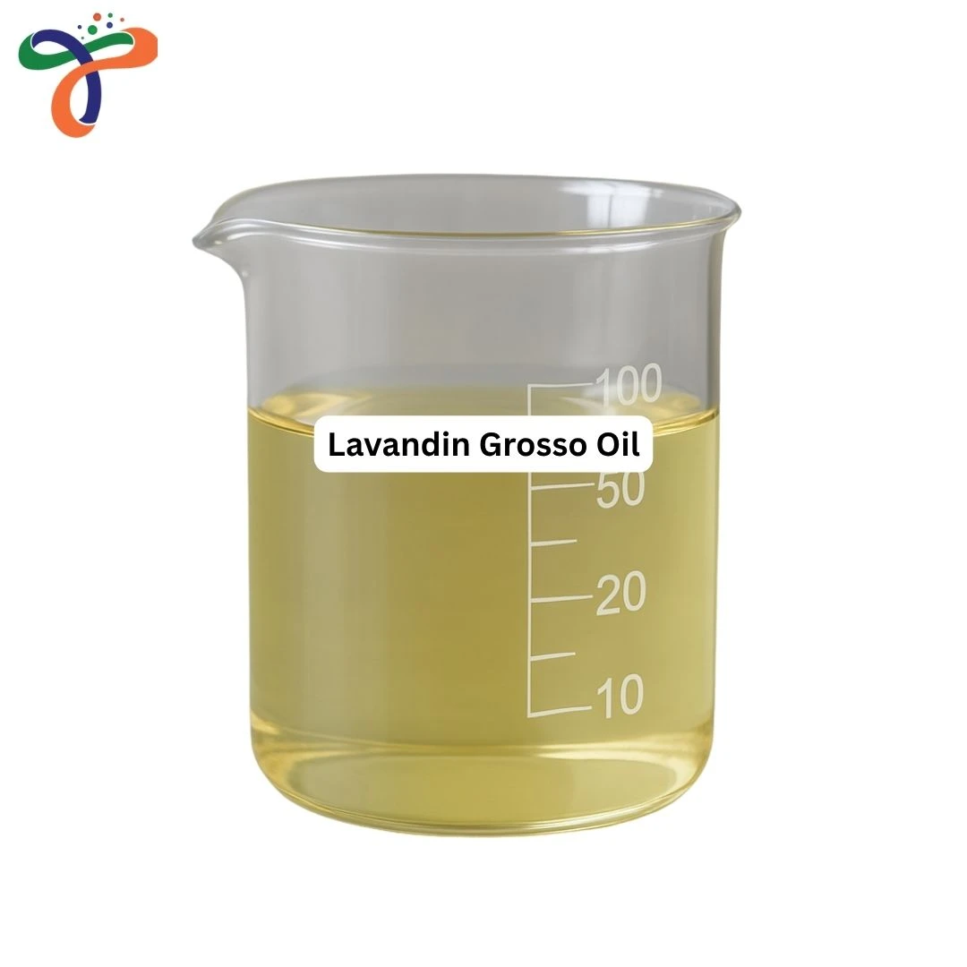 Grosso Lavandin Oil