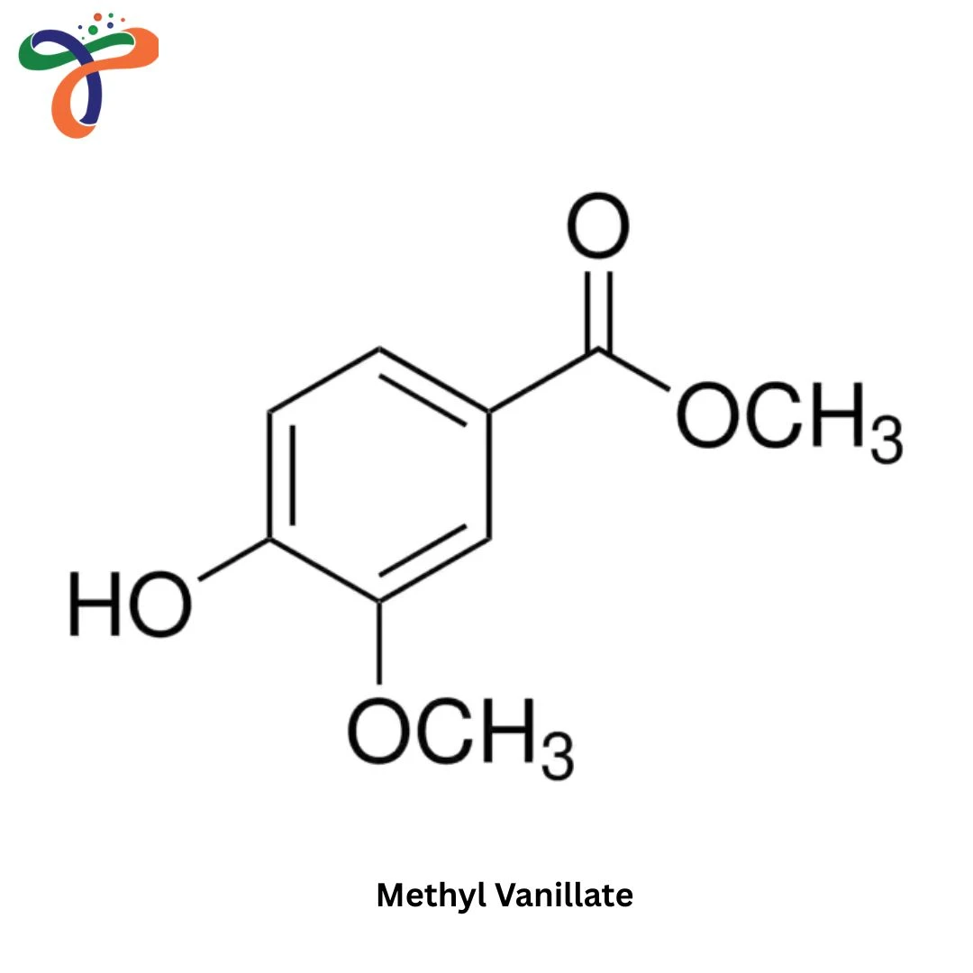 Methyl Vanillate