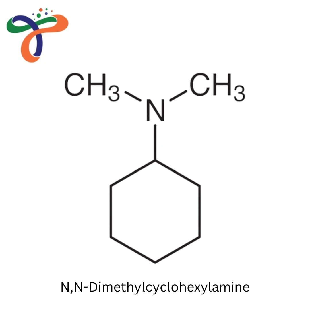 N,N-Dimethylcyclohexylamine