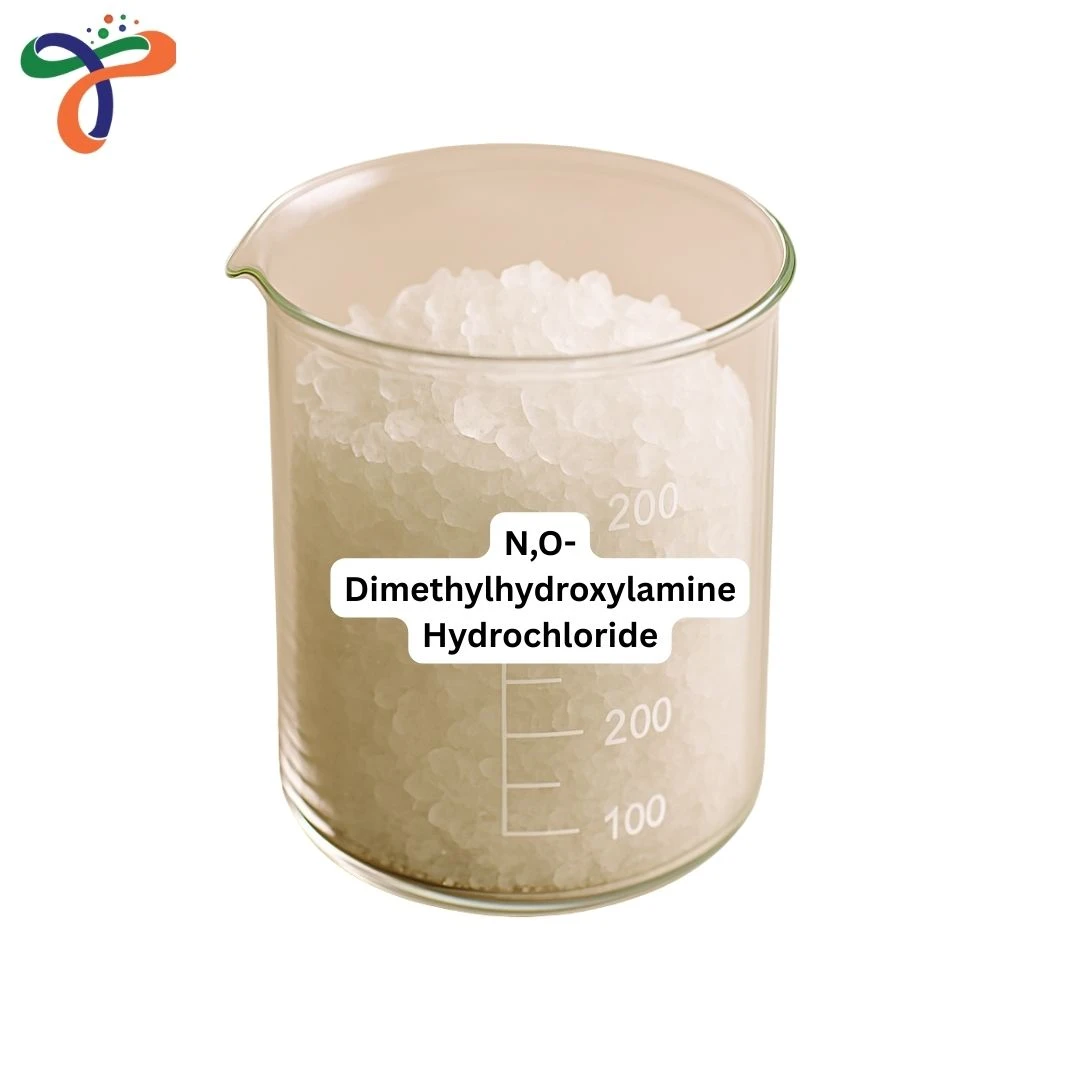 N,O-Dimethylhydroxylamine Hydrochloride
