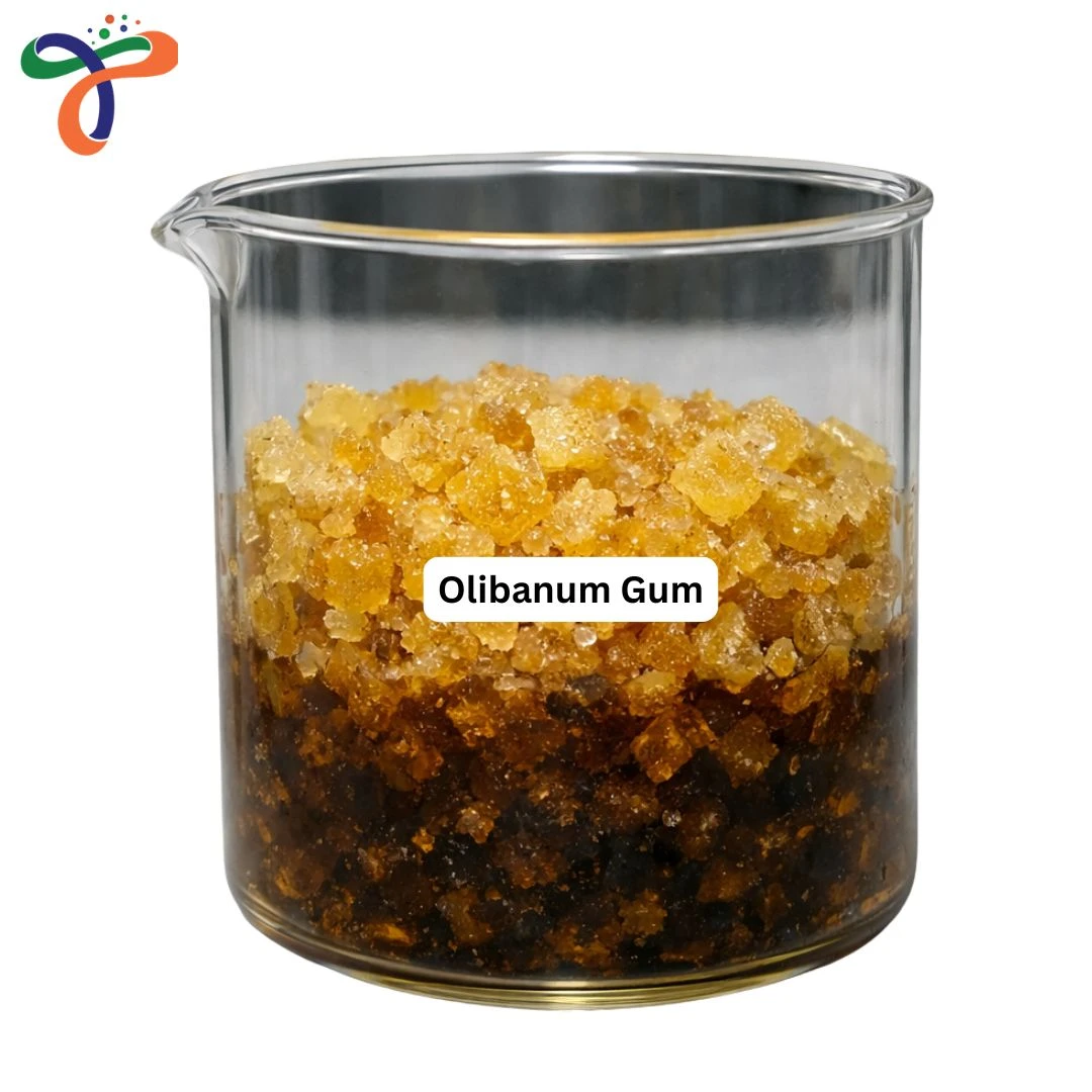 Olibanum Gum