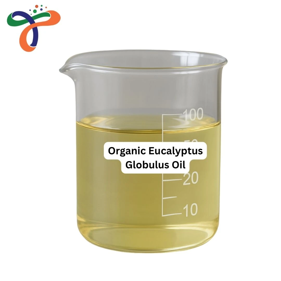 Organic Eucalyptus Globulus Oil