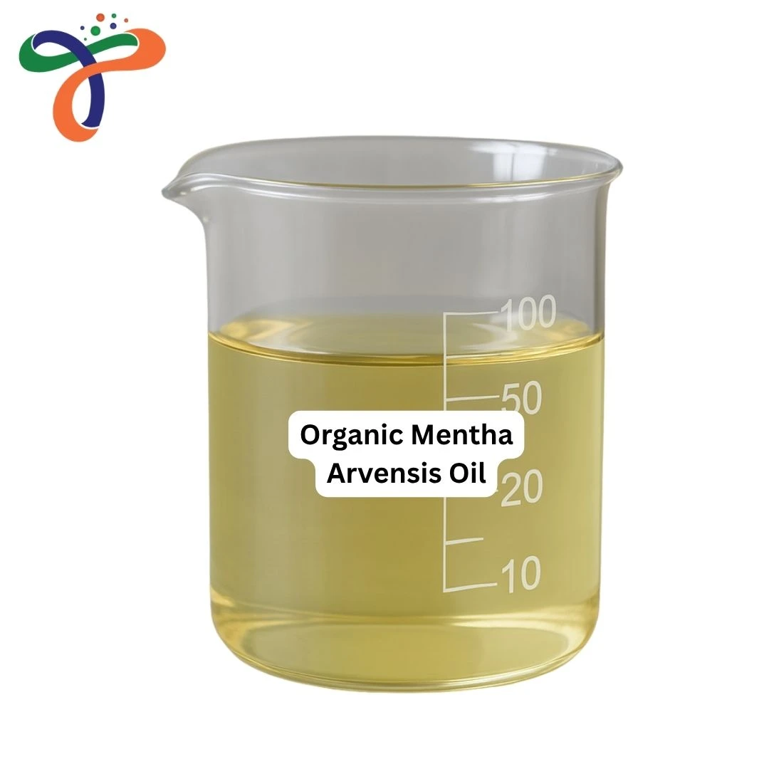 Organic Mentha Arvensis Oil