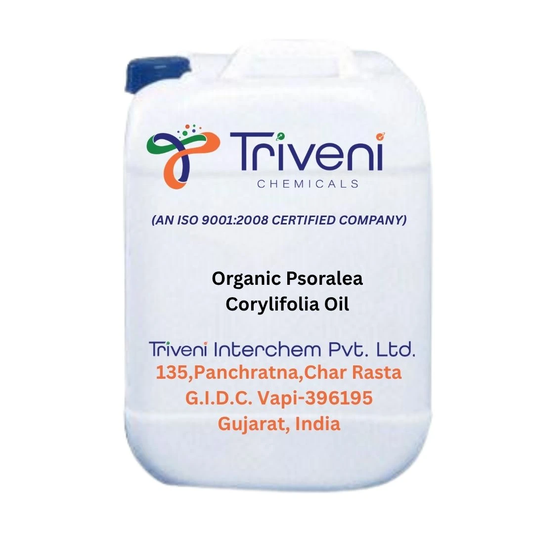 Organic Psoralea Corylifolia Oil
