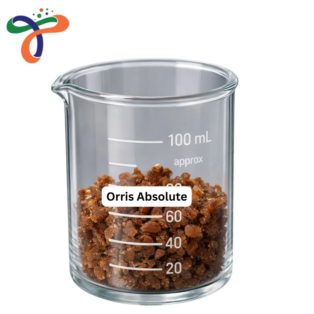 Orris Absolute