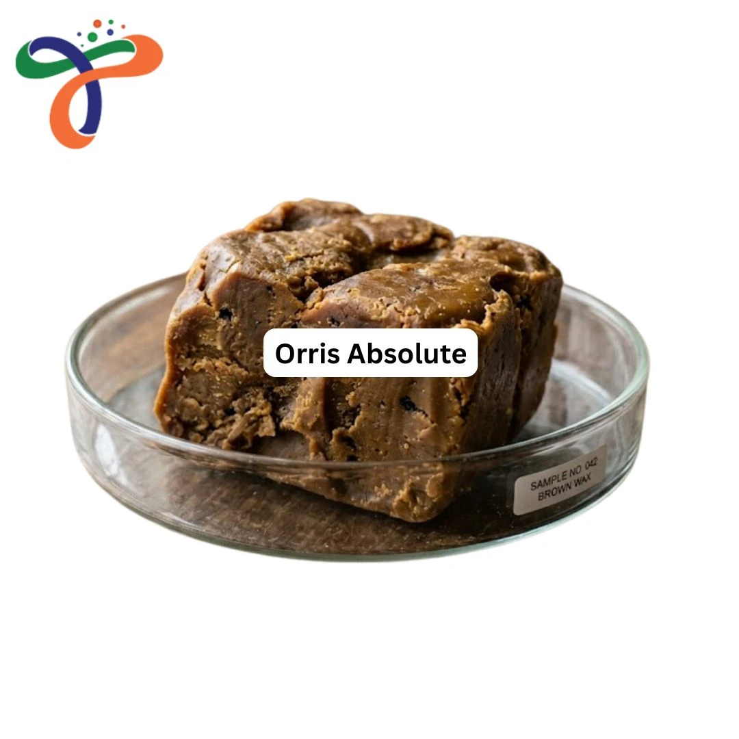 Orris Absolute