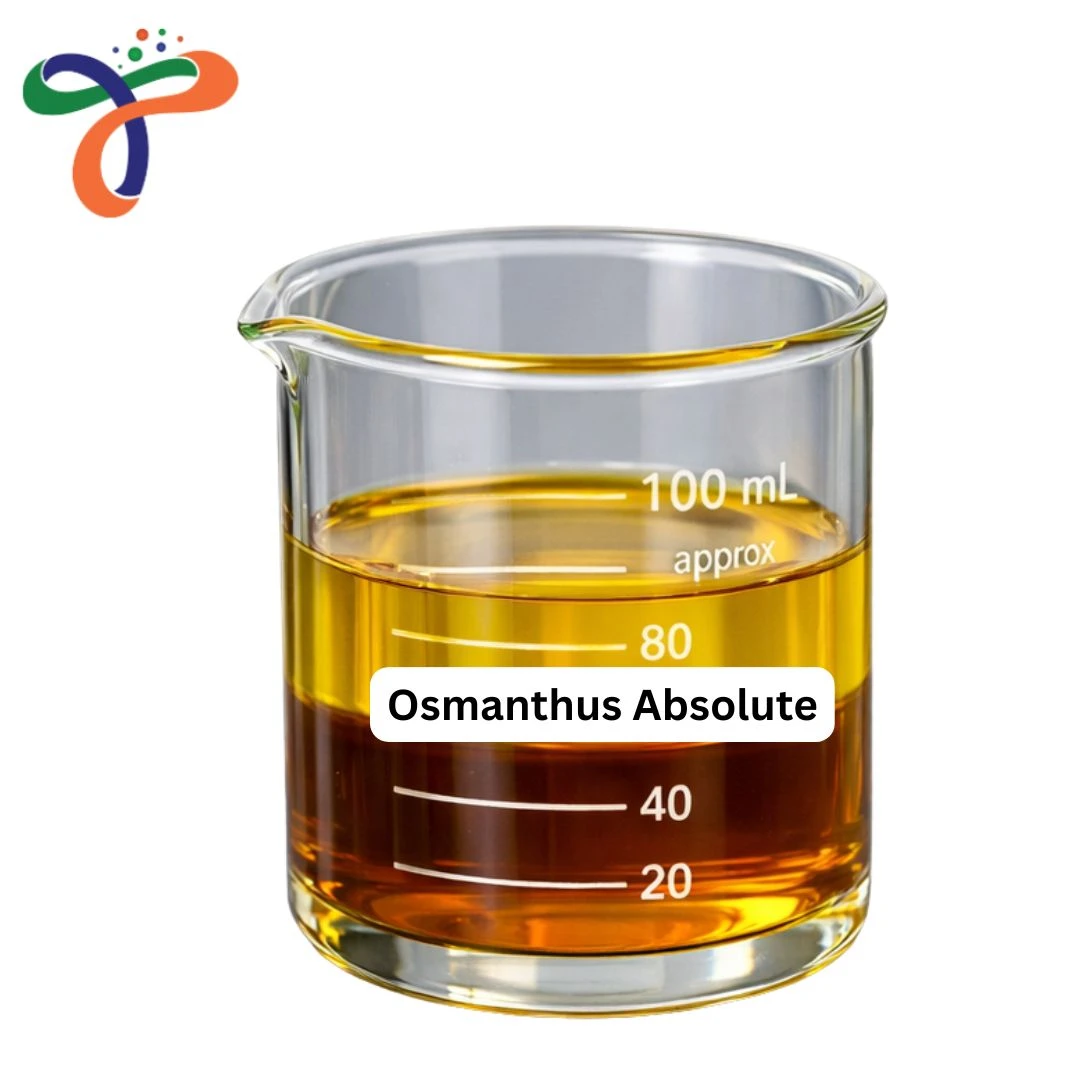 Osmanthus Absolute