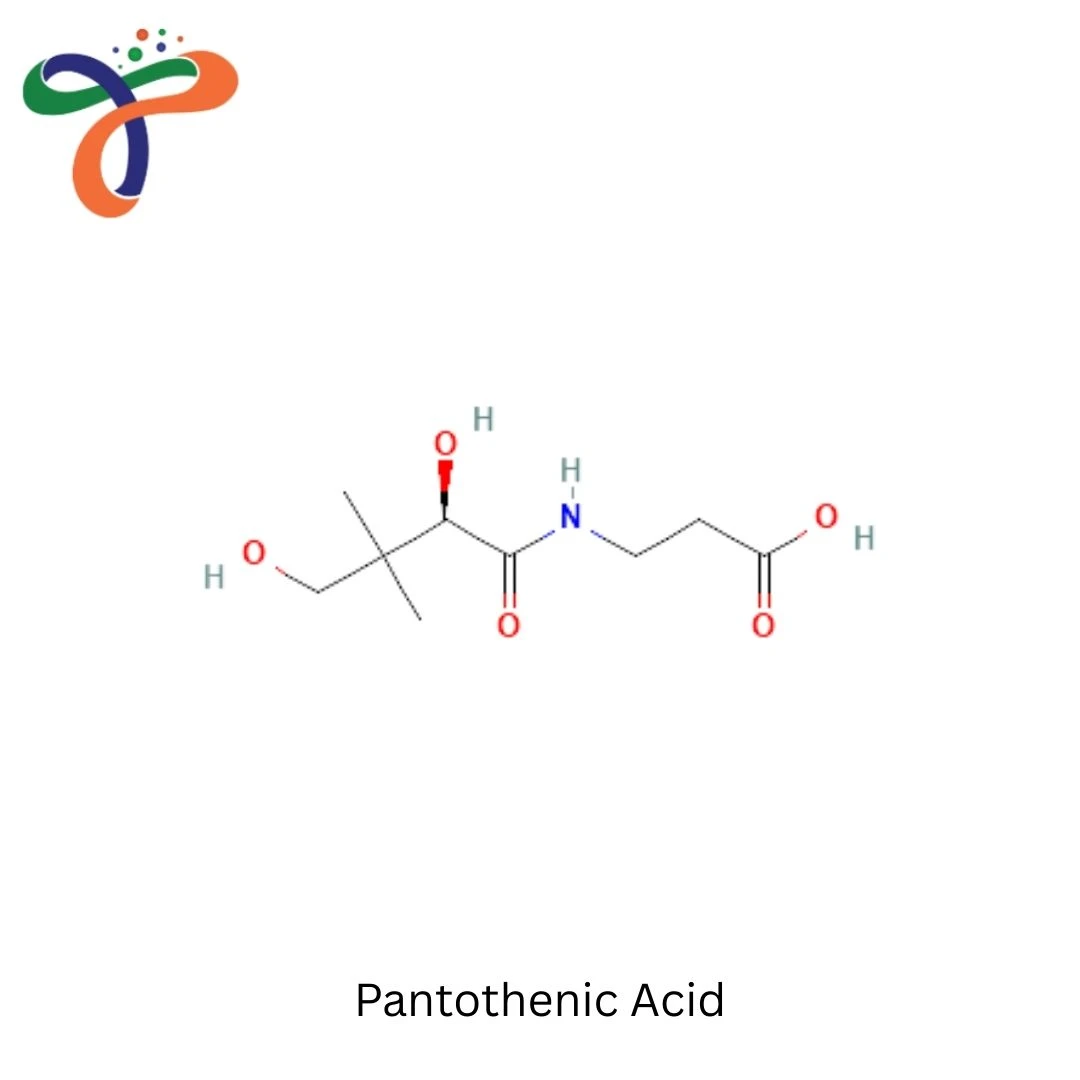Pantothenic Acid