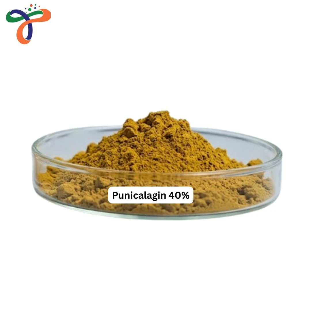 Punicalagin 40%