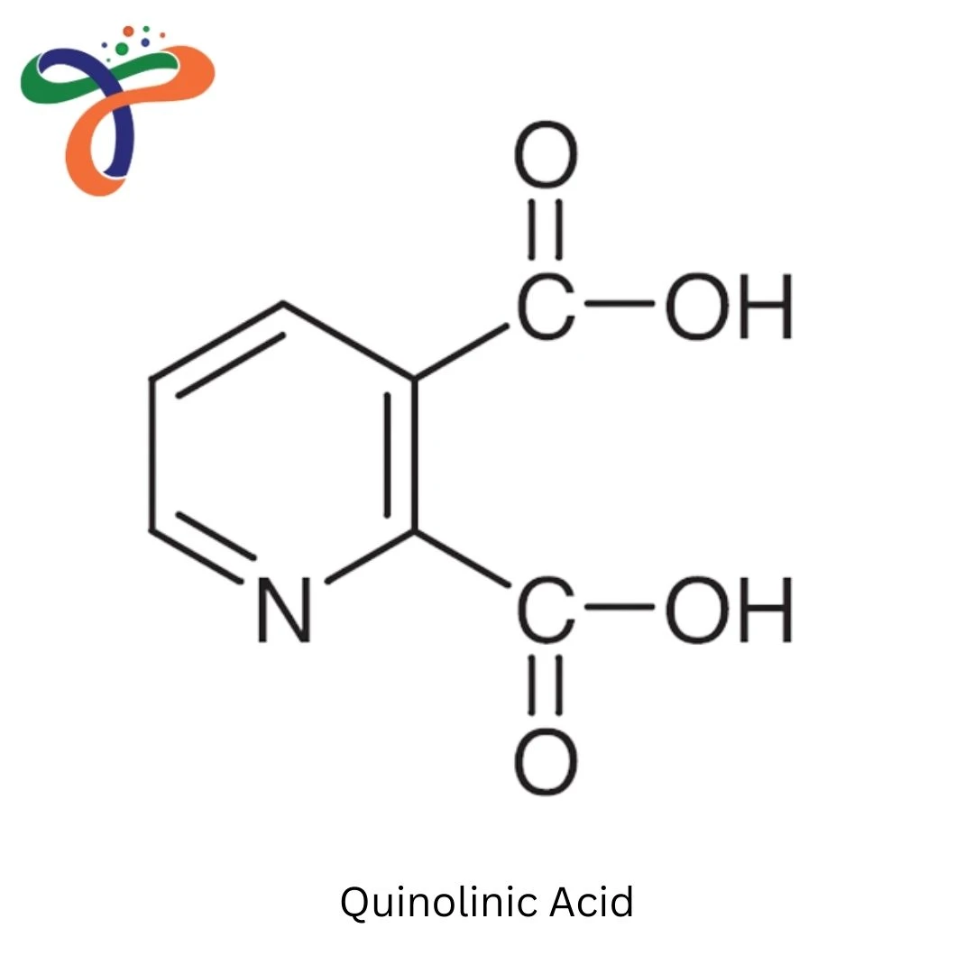 Quinolinic Acid