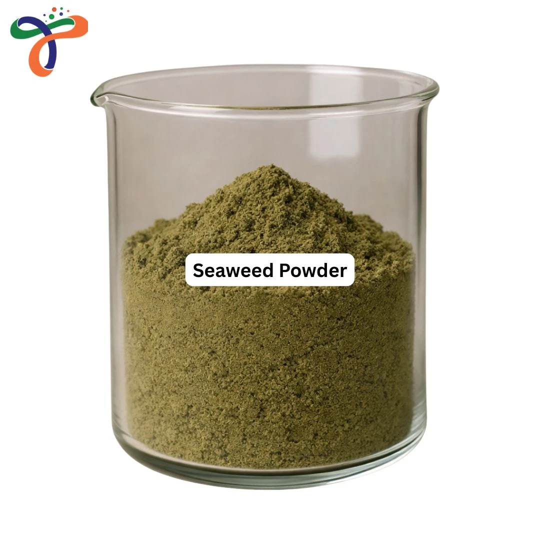 Seaweed Powder
