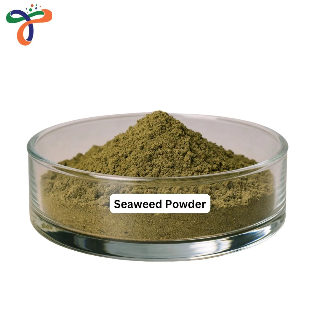 Seaweed Powder