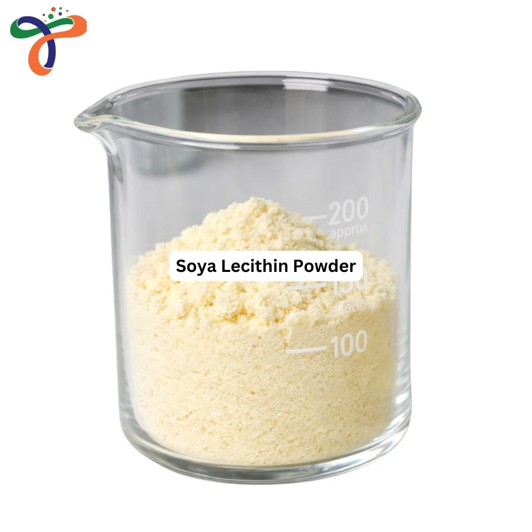 Soya Lecithin Powder